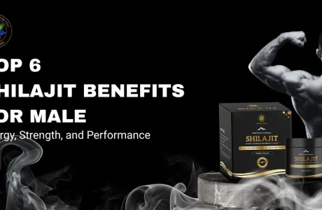 Top 6 Shilajit Benefits for Male Energy
