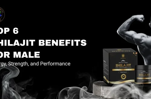 Top 6 Shilajit Benefits for Male Energy