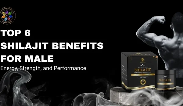 Top 6 Shilajit Benefits for Male Energy