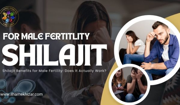 shilajit benefits for male fertility