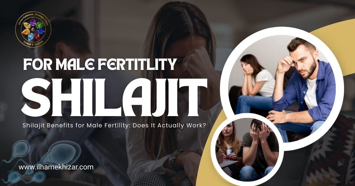 shilajit benefits for male fertility