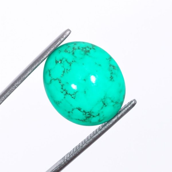 turquoise green online pakistan - shop now